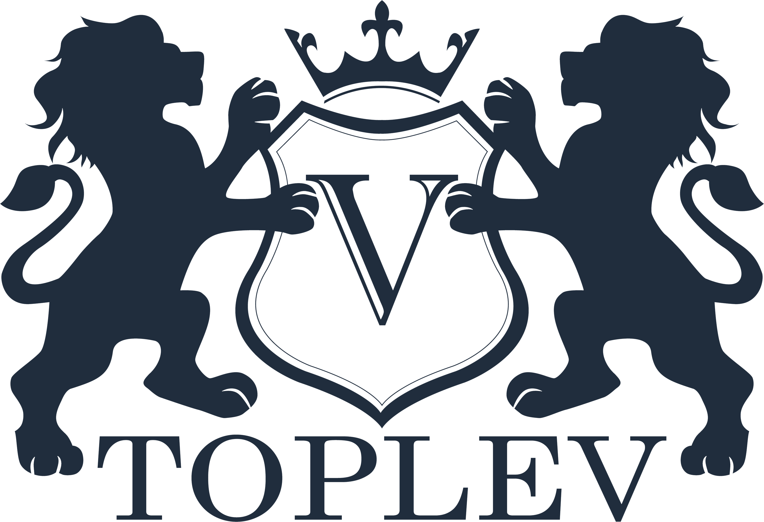 Toplev